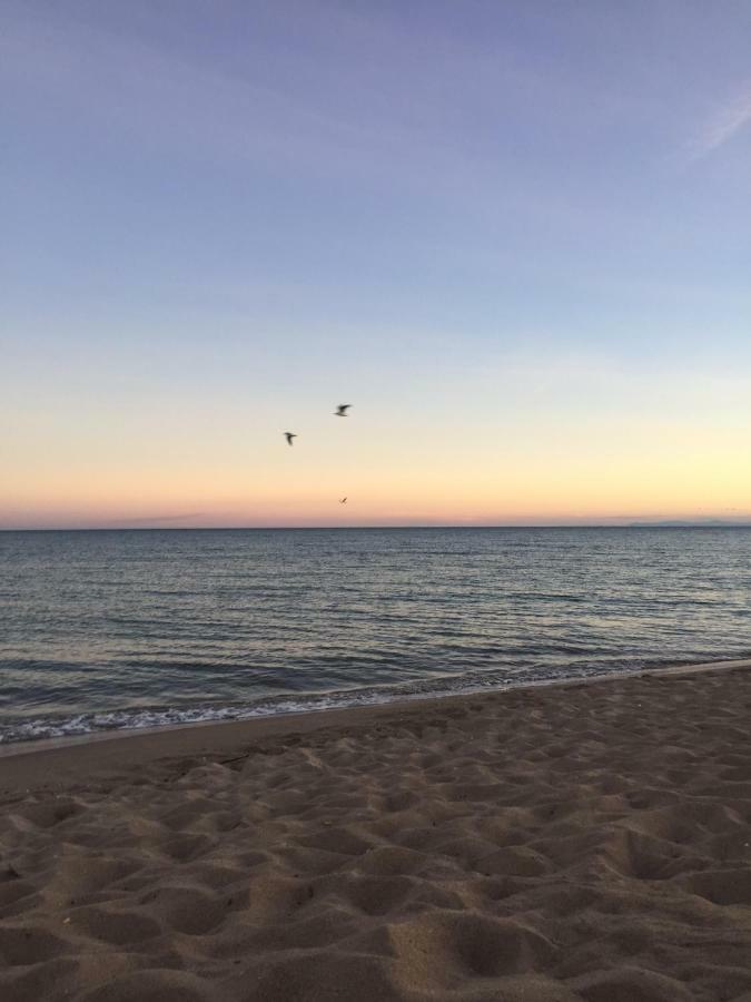 Jm Vacances Sérignan المظهر الخارجي الصورة
